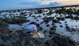 户外赶海爆料视频大全,揭秘户外赶海爆料视频大全精彩瞬间