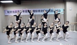 舞蹈老师视频爆料软件免费,一键生成，舞动人生！